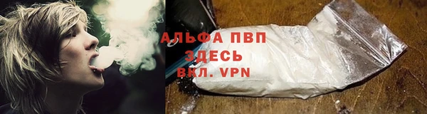 тгк Абаза