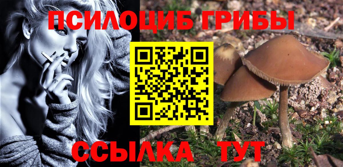 Псилоцибиновые грибы мухоморы Тюмень