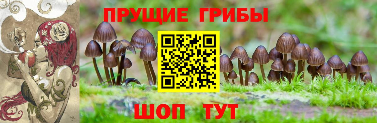 Тюмень  как найти   Вход с VPN  Галлюциногенные грибы GOLDEN TEACHER 